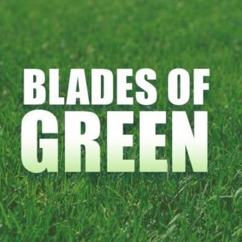 Image for Blades of Green with ID of: 4366139