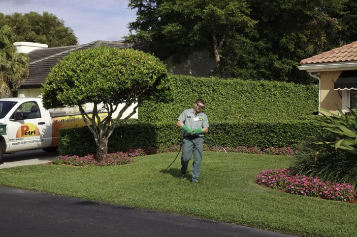 Image for Petri Pest Control Services with ID of: 4366584