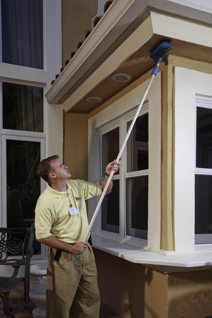 Image for Petri Pest Control Services with ID of: 4366586
