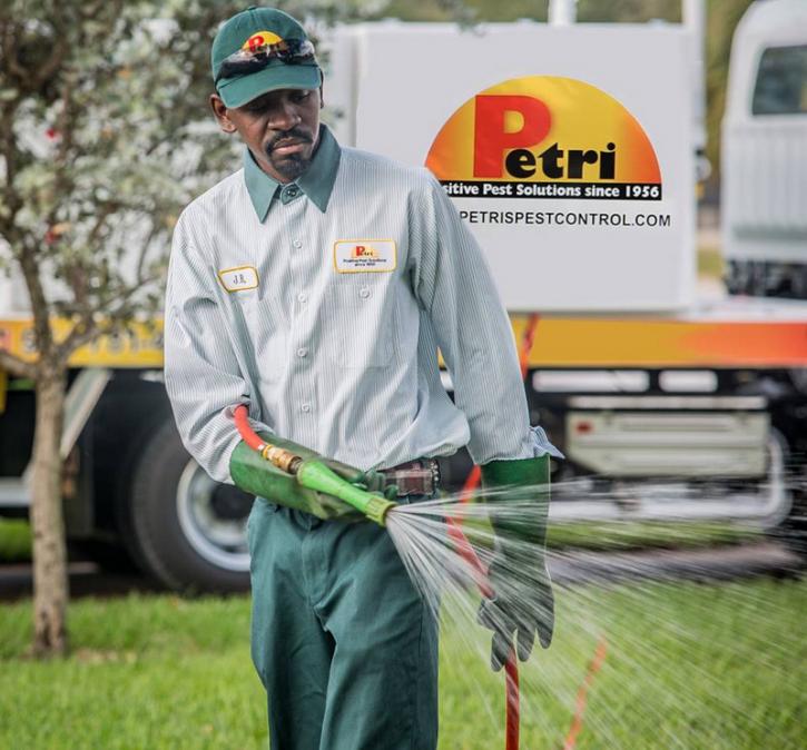 Image for Petri Pest Control Services with ID of: 4366588