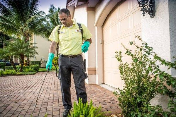 Image for Petri Pest Control Services with ID of: 4366589
