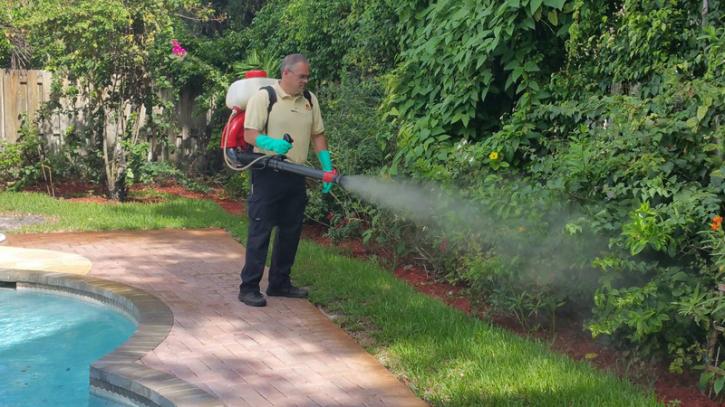 Image for Petri Pest Control Services with ID of: 4366592