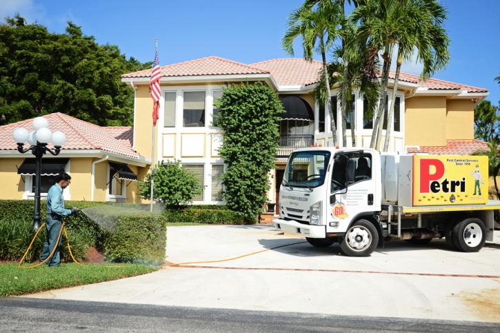 Image for Petri Pest Control Services with ID of: 4366597