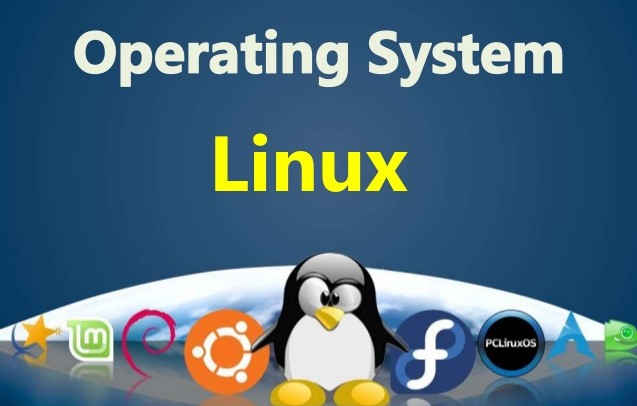 Image for LINUX Operating System with ID of: 4366705