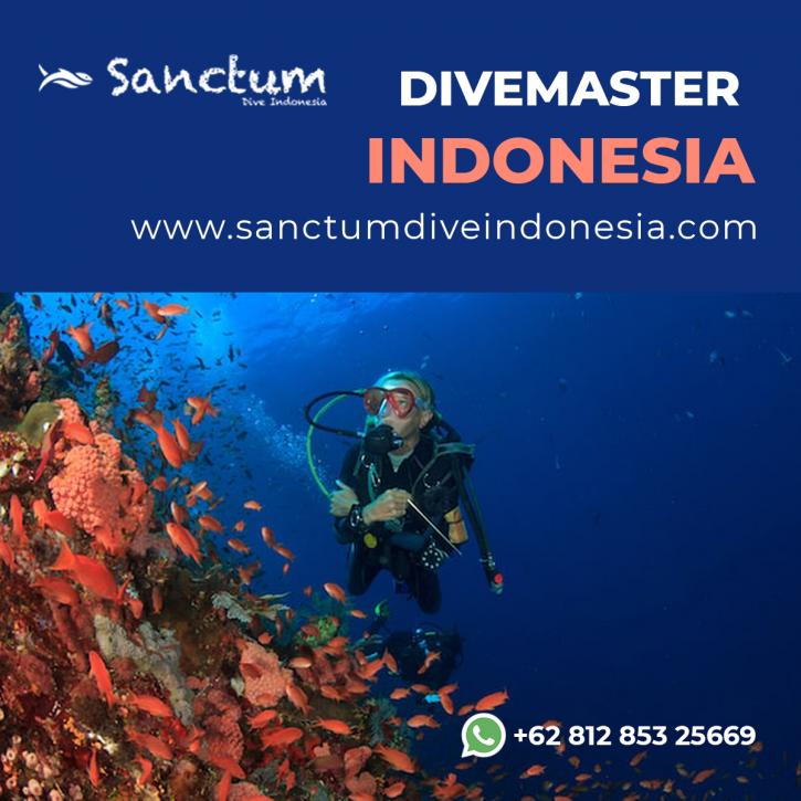 Image for Divemaster Indonesia with ID of: 4368325