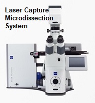 Image for Laser Capture Microdissection System Market | World Players Forecast Analysis Till 2025 with ID of: 4368644