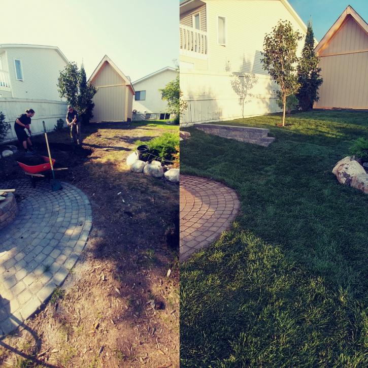 Image for Seasonal Solutions Inc. with ID of: 4370504