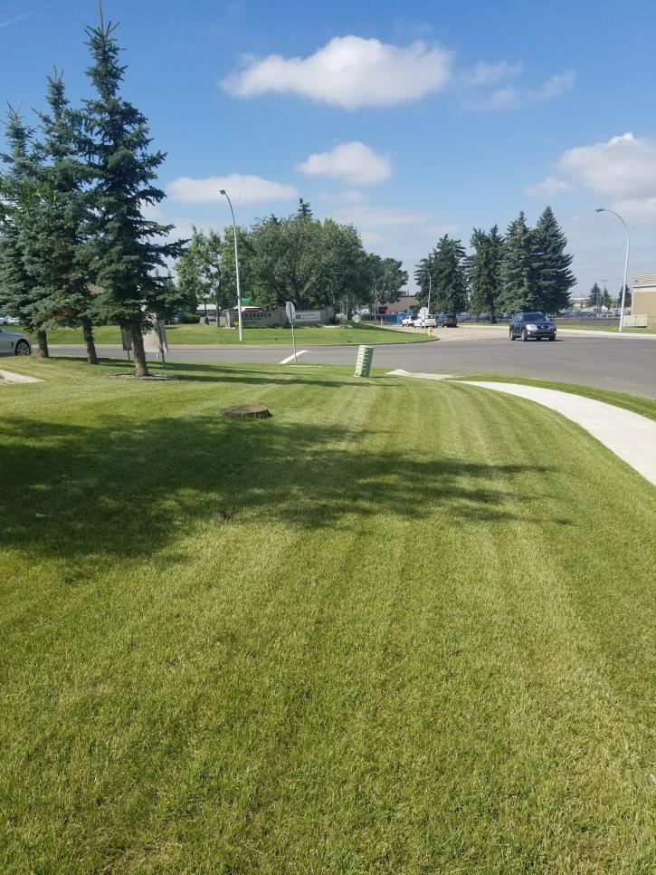 Image for Seasonal Solutions Inc. with ID of: 4370521