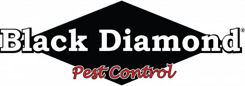 Image for Black Diamond Pest Control with ID of: 4371190