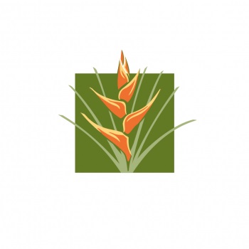 Image for Manoa Dental with ID of: 4373372