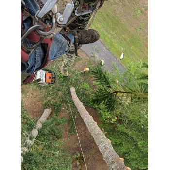 Image for Tree Contractors Northwest Inc. with ID of: 4374822