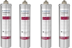 Image for Why Your Home Needs the Everpure H54 Filtration System with ID of: 4374967