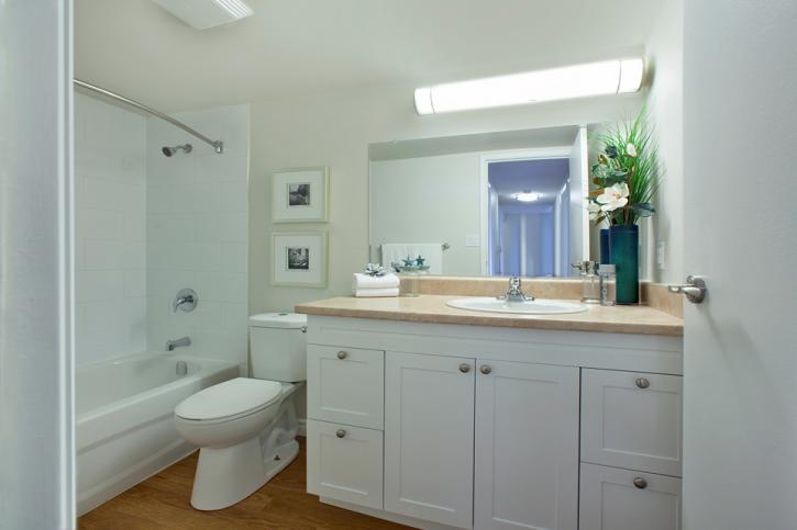 Image for Waverly Place with ID of: 4376826