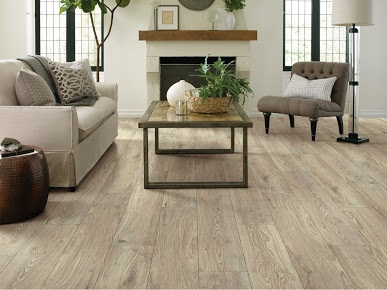 Image for Healthy Home Flooring with ID of: 4377872