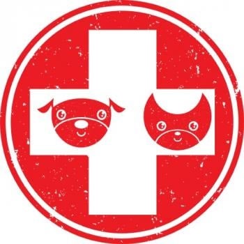 Image for Elite Veterinary Care with ID of: 4377908