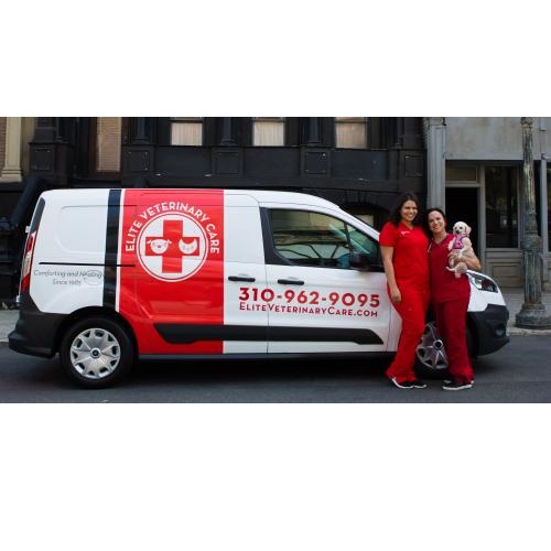 Image for Elite Veterinary Care with ID of: 4377914