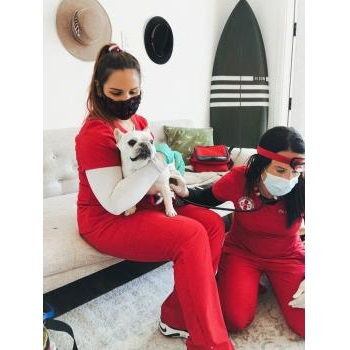 Image for Elite Veterinary Care with ID of: 4377915