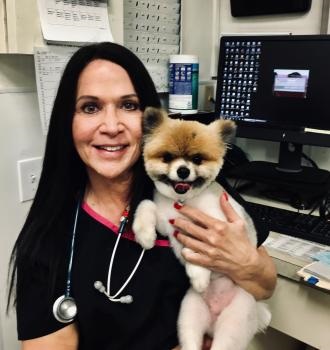 Image for Elite Veterinary Care with ID of: 4377916