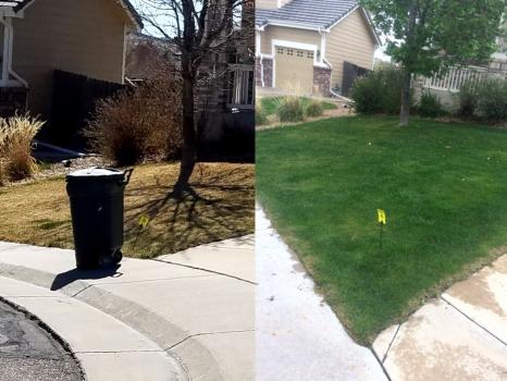 Image for ExperiGreen Lawn Care with ID of: 4380697