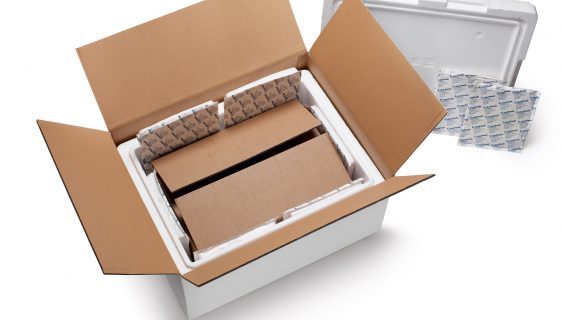 Image for Global Temperature Controlled Packaging Solutions Market 2020 | Manufacturers, Regions, Type And Application, Forecast To 2025 with ID of: 4381608
