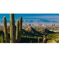 Image for Termite Control Phoenix with ID of: 4383109