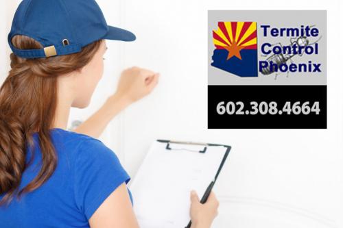 Image for Termite Control Phoenix with ID of: 4383110