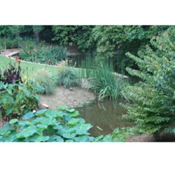 Image for Integrity LandWorx with ID of: 4384699