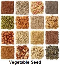 Image for Vegetable Seed Market | World Players Forecast Analysis Till 2025 with ID of: 4387590