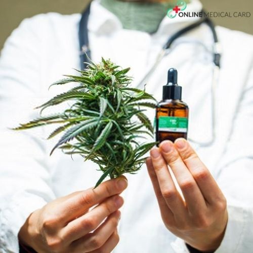 Image for Cannabis Doctor with ID of: 4388527