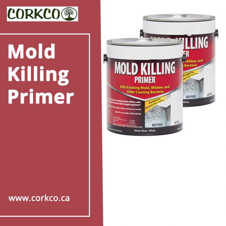 Image for Mold Killing Primer with ID of: 4390478