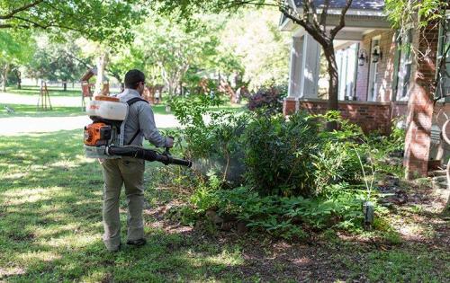 Image for PinPoint Pest Solutions with ID of: 4392308