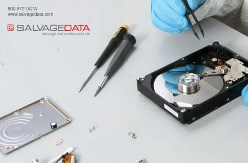 Image for SALVAGEDATA Recovery Services with ID of: 4392405
