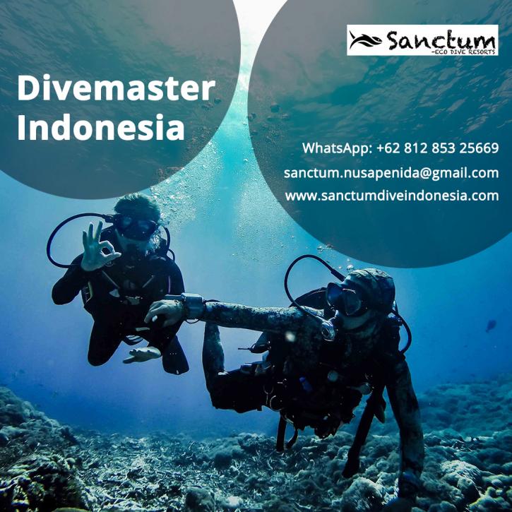 Image for Divemaster Indonesia with ID of: 4392495