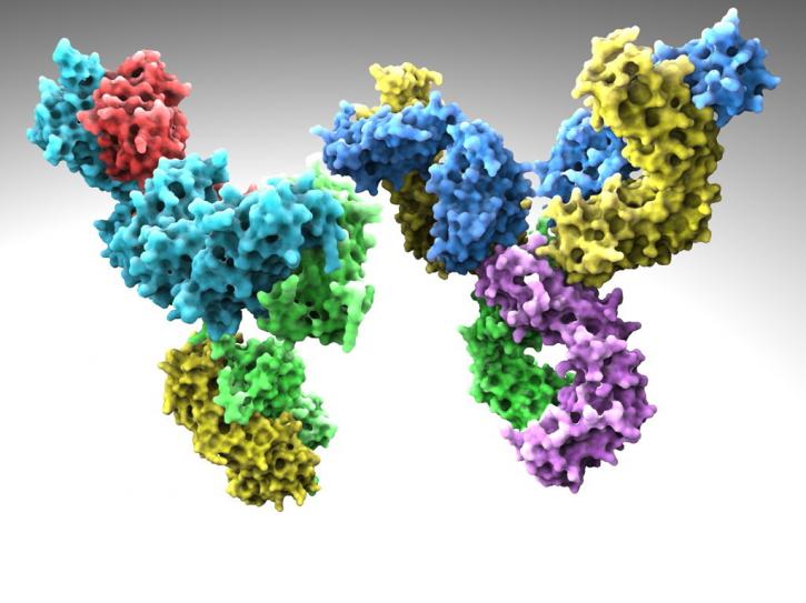 Image for SARS-CoV with ID of: 4400080