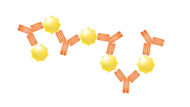 Image for SARS Antibodies with ID of: 4400093