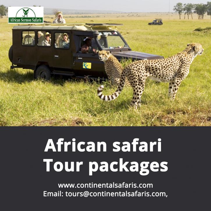 Image for African Safari Tours Packages with ID of: 4402890