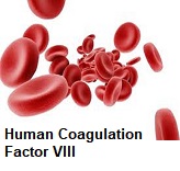 Image for Human Coagulation Factor VIII Market | World Players Forecast Analysis Till 2025 with ID of: 4408136