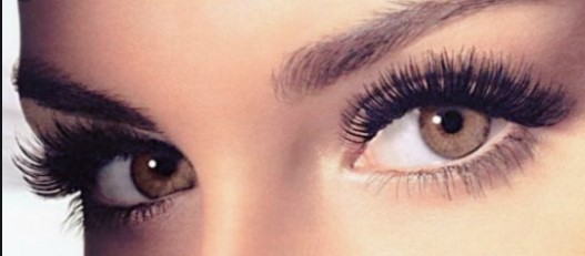 Image for Mink and Silk Co. Lash Face Body with ID of: 4413759