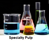 Image for Specialty Pulp Market | World Players Forecast Analysis Till 2025 with ID of: 4414052