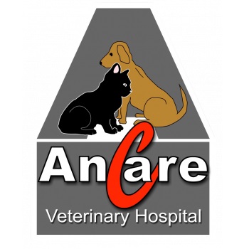 Image for Ancare Veterinary Clinic with ID of: 4415351