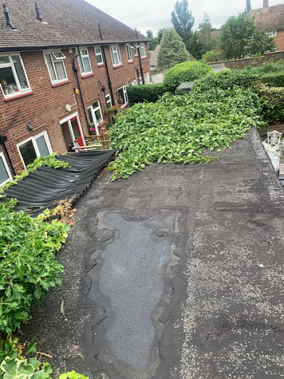 Image for JL Roofing with ID of: 4415711