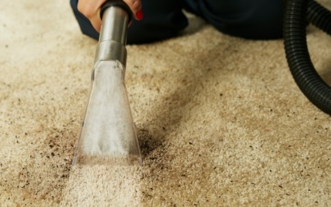 Image for Payless Carpet Cleaning with ID of: 4420438