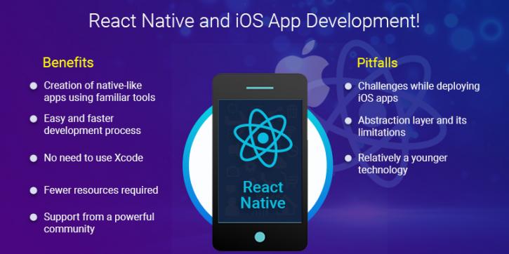 Image for React Native and iOS App Development! with ID of: 4422431