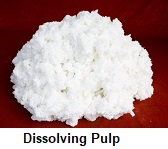 Image for Dissolving Pulp Market | World Players Forecast Analysis Till 2025 with ID of: 4422746