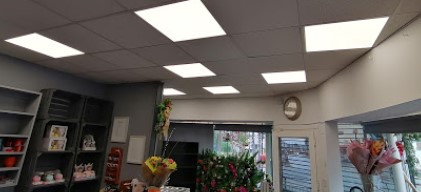 Image for LM Electrical & Maintenance Services with ID of: 4423905