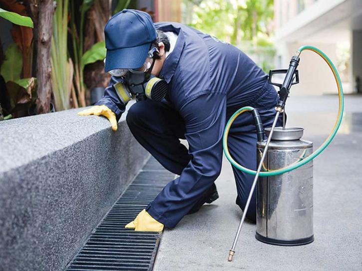 Image for Bed Bug Treatment Annandale VA with ID of: 4424854