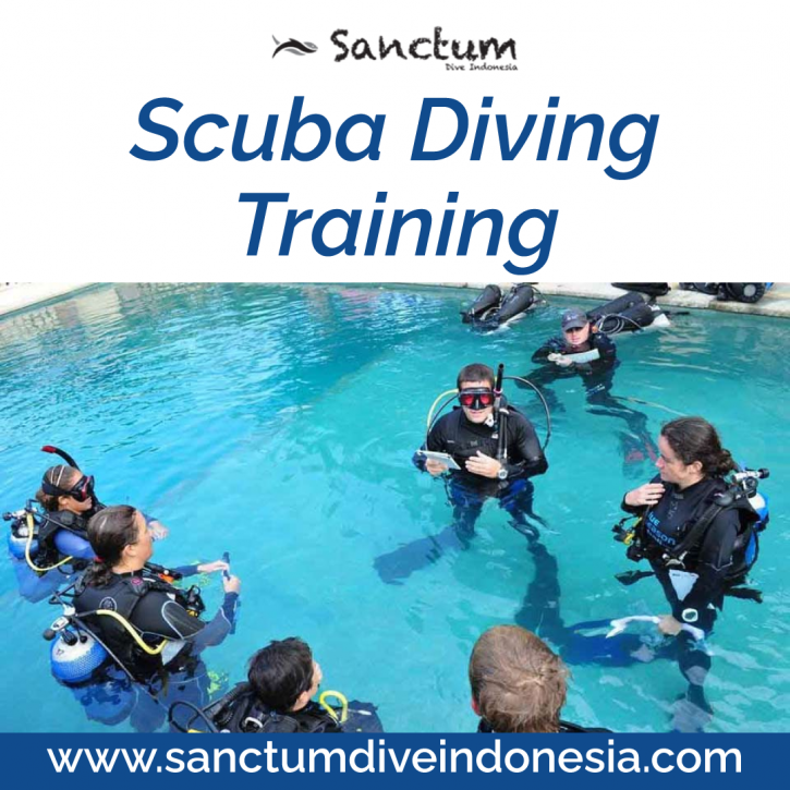 Image for Scuba Diving Training with ID of: 4427745