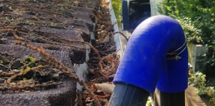 Image for True Blue Cleaning with ID of: 4428646