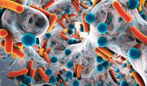 Image for protein screening with ID of: 4430581