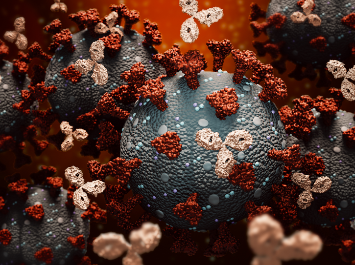 Image for rat monoclonal antibody with ID of: 4430615